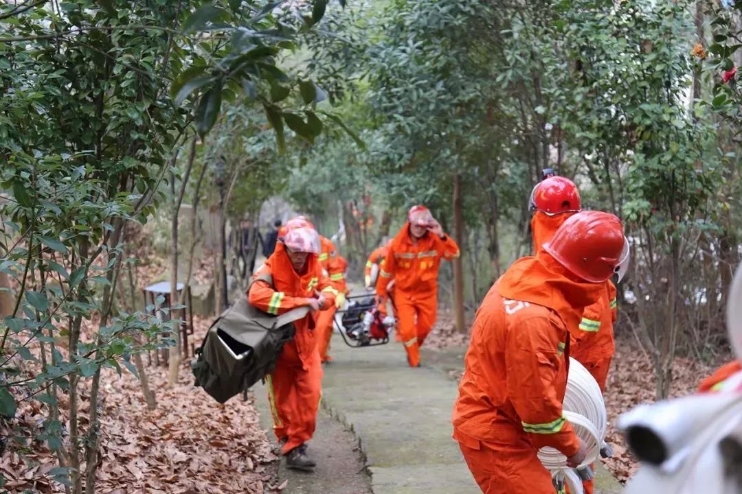清明時節(jié)，區(qū)長緊盯森林防火，要求必須全力以赴，嚴防死守！