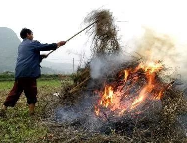你年年都想燒的秸稈，今年可以吃票子了！