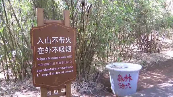 贊！雞足山景區(qū)連續(xù)35年無森林火災(zāi)，因?yàn)樗麄?..